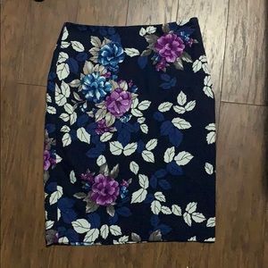 Ann Taylor Skirt